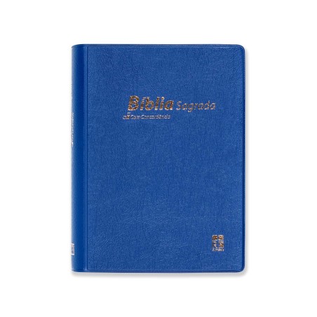 Bíblia DN42C | Azul | Capa vinil | Concordância | Letra pequena